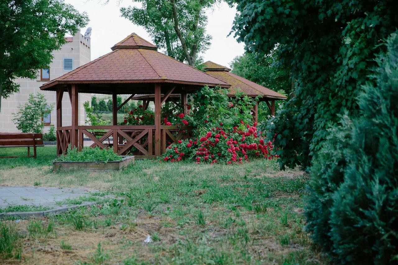 Palac Koronny Noclegi & Wypoczynek Wodzislaw Exterior photo